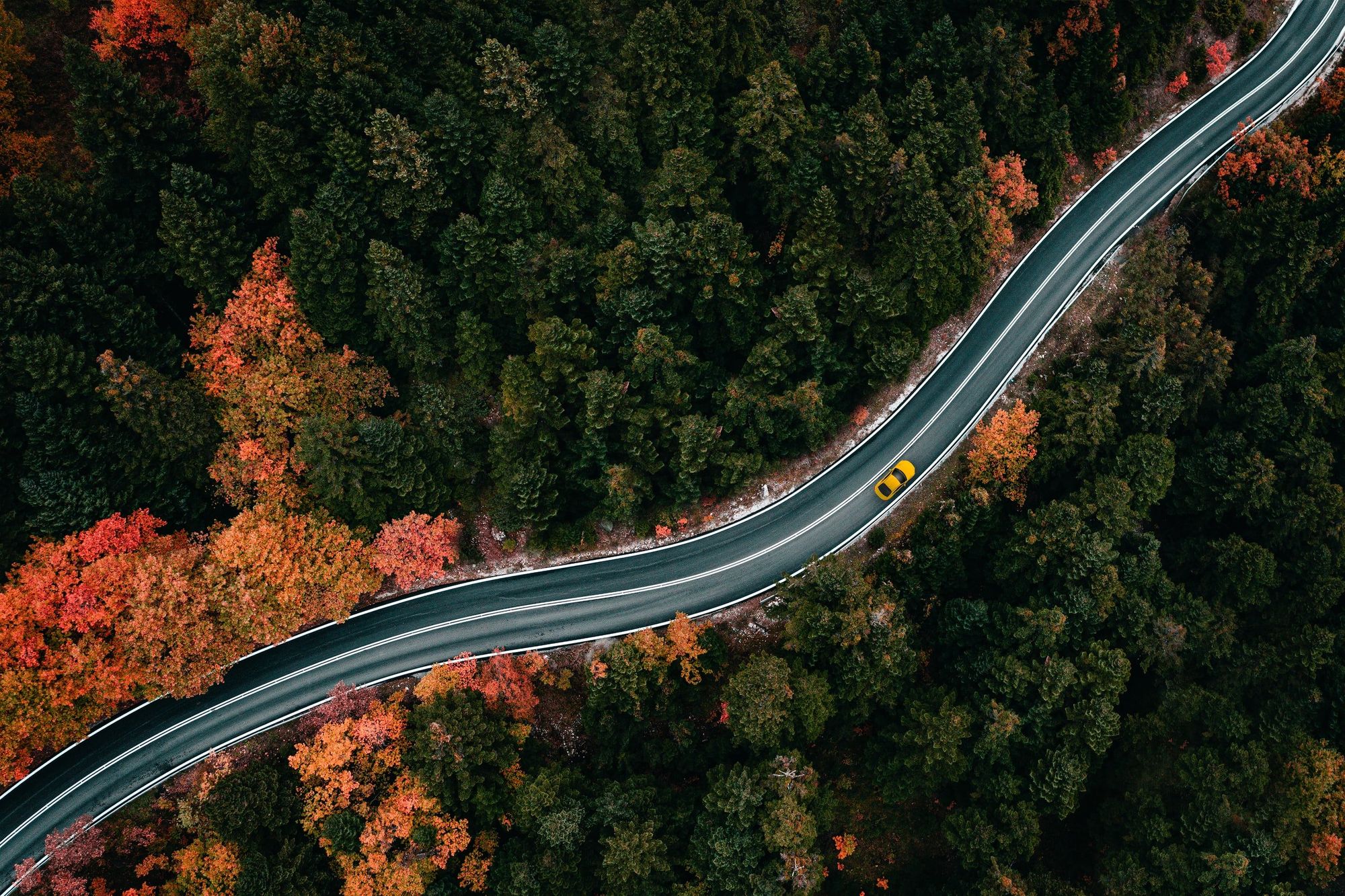 Can You—Or Do You—Block Off 30 Minutes A Day (or more) To Work On Your Dream?